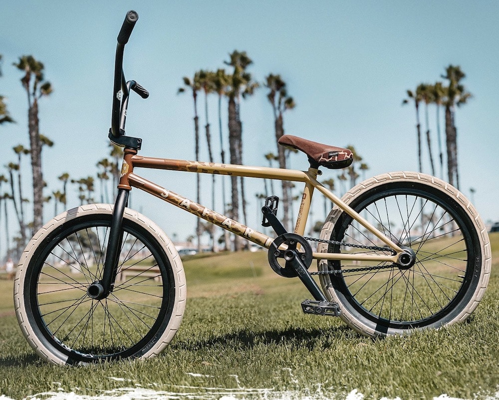 Reed Stark Bike Check BSD 2024 The BMX Dude