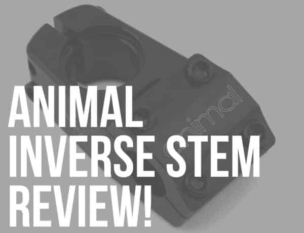 animal inverse stem review