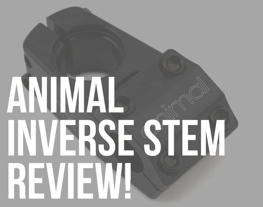 animal inverse stem review