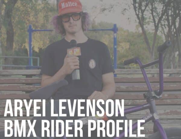 aryei levenson