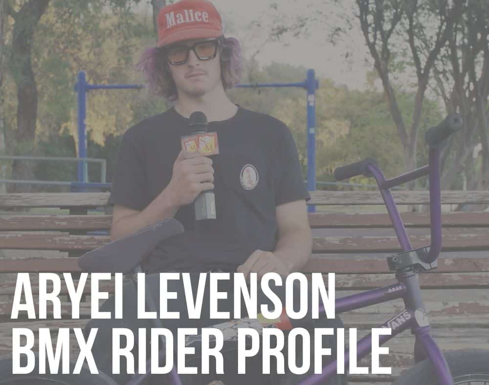aryei levenson