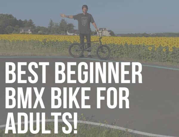 beginner bmx bike for adults