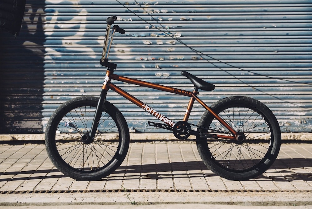 Bruno Hoffmann Bike Check [Federal] 2024 The BMX Dude