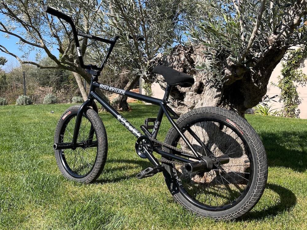 Bsd raider sale