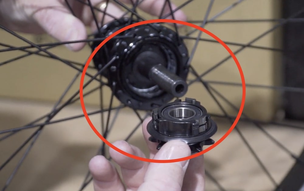 colony swarm freecoaster hub innternals