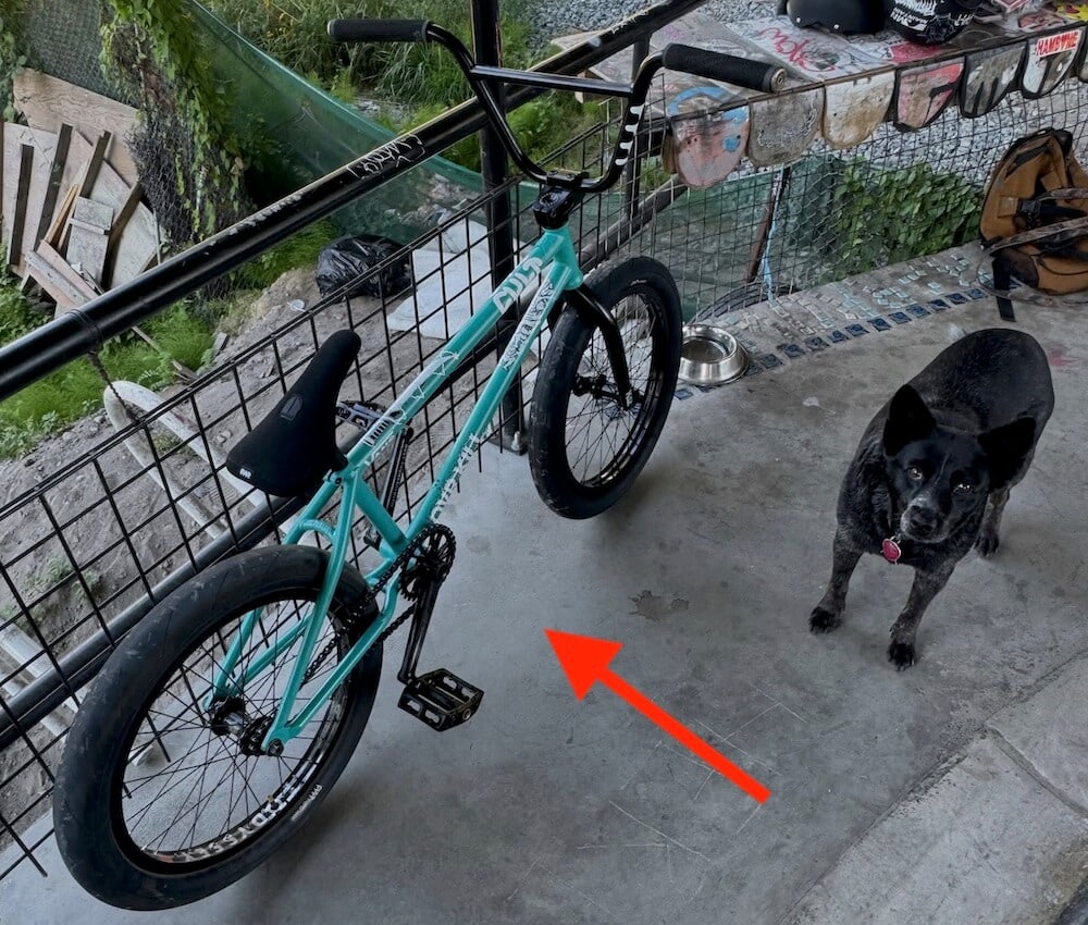 corey walsh 2026 bike check