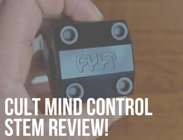 cult mind control stem review