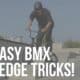 easy bmx ledge tricks