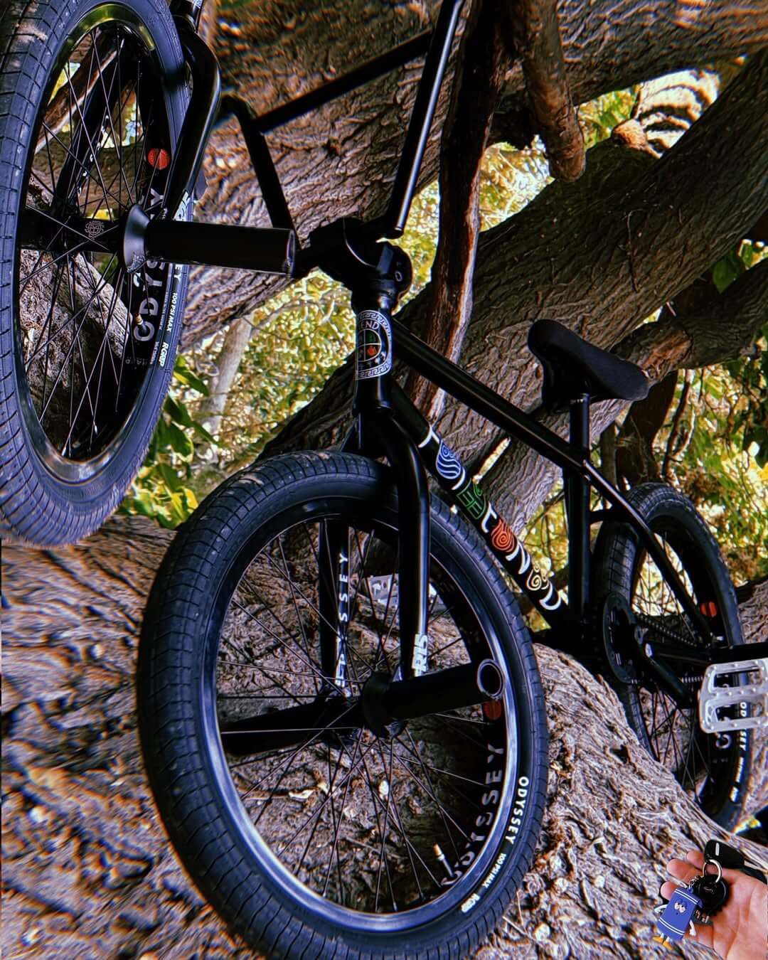 johnny raekes odyssey 2025 bike check