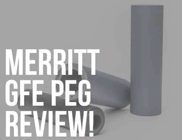 merritt gfe peg review