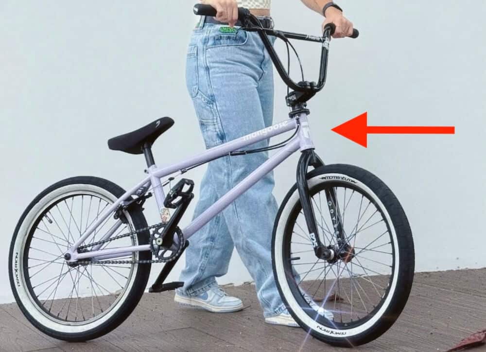 nikita ducarroz 2026 bike check