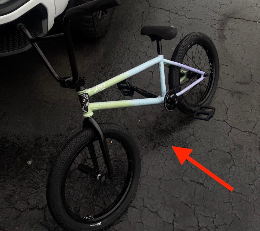 sean ricany 2026 bike check