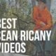 sean ricany