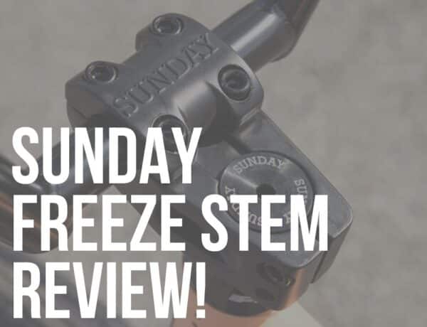 sunday freeze stem review